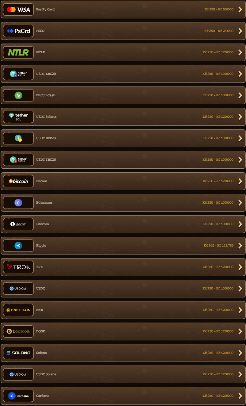 Lizaro-Casino-Croatia-Payments