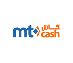 Maroc Telecom Money Logo
